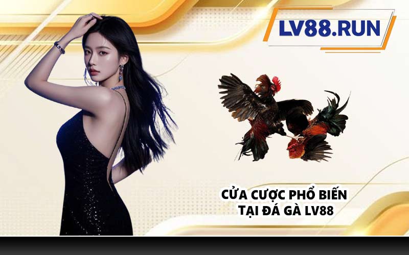 Cửa cược phổ biến tại đá gà LV88