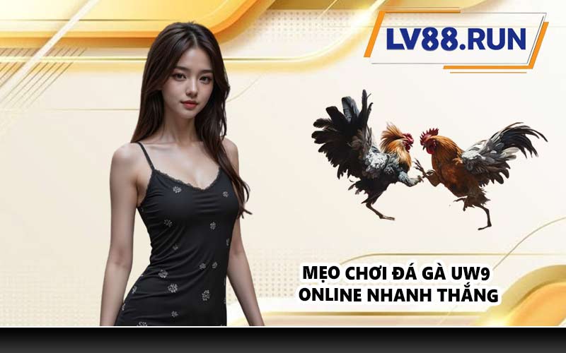 Mẹo chơi đá gà UW9 online nhanh thắng