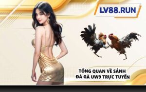 Tổng quan về sảnh đá gà UW9 trực tuyến