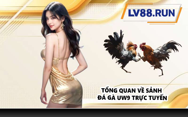 Tổng quan về sảnh đá gà UW9 trực tuyến